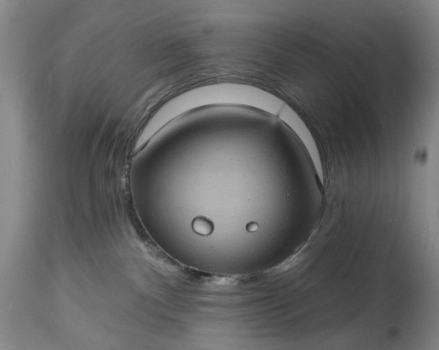 X0000115450140200911181556