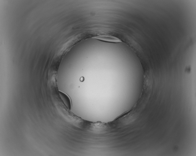 X0000115450141200911181556