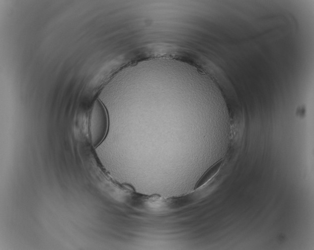 X0000115450142200911181556