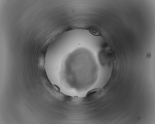 X0000115450143200911181556