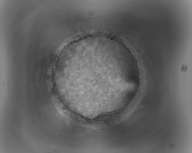 X0000115450144200911181556