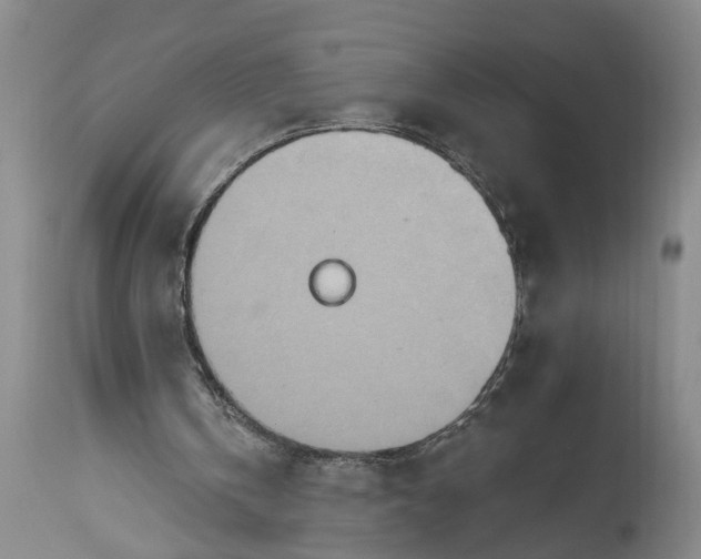 X0000115450146200911181555