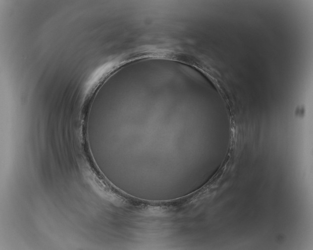 X0000115450149200911181555