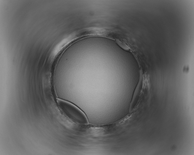 X0000115450150200911181555