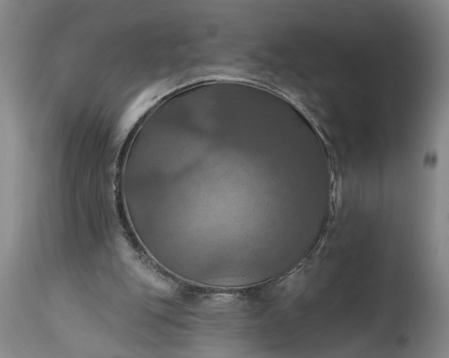 X0000115450151200911181555