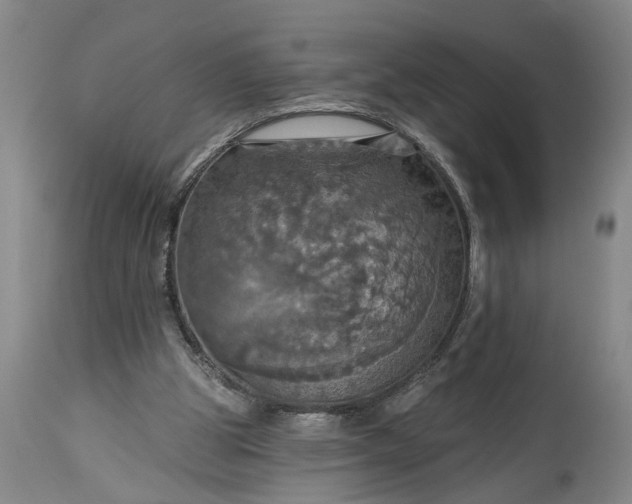 X0000115450153200911181555