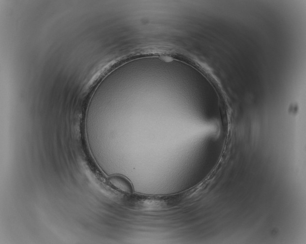 X0000115450154200911181555