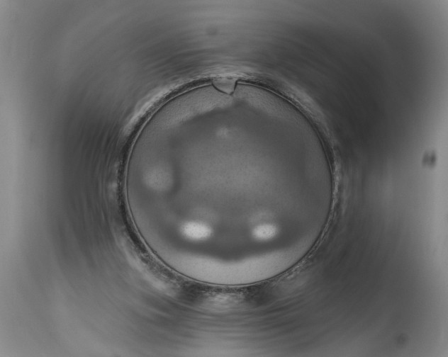 X0000115450155200911181555