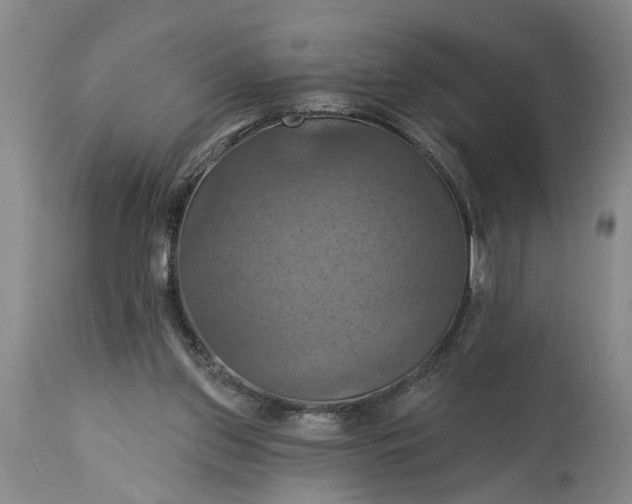 X0000115450157200911181555