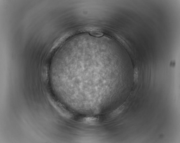 X0000115450158200911181555