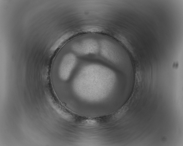 X0000115450159200911181555