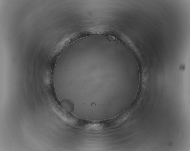 X0000115450161200911181555