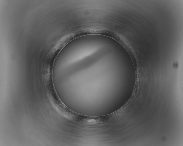 X0000115450163200911181555