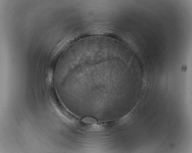 X0000115450166200911181555