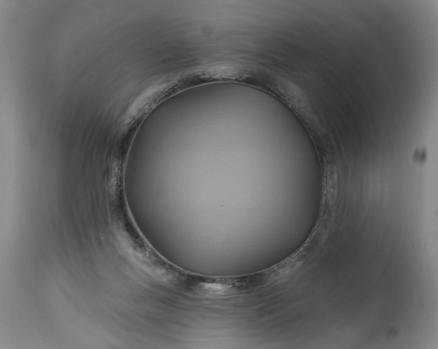 X0000115450167200911181555