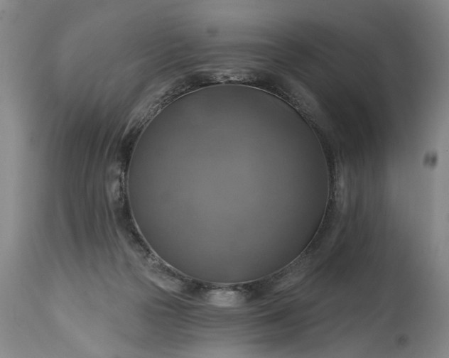 X0000115450169200911181555