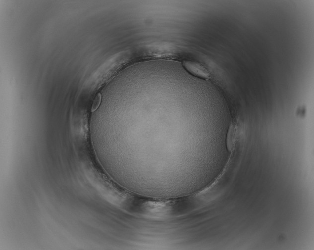 X0000115450170200911181555