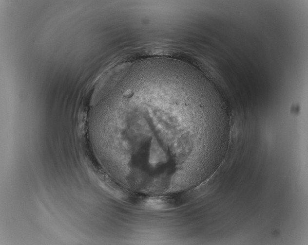 X0000115450171200911181555