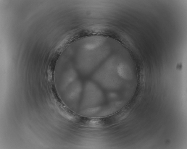 X0000115450173200911181555