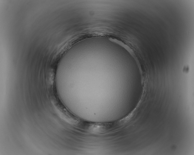 X0000115450174200911181555