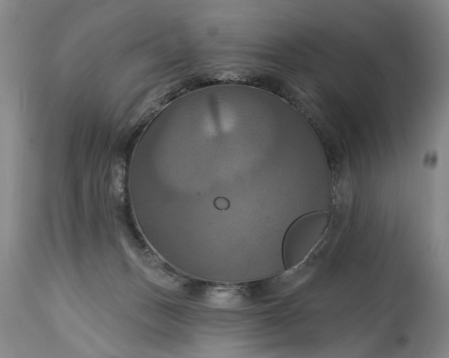 X0000115450175200911181555