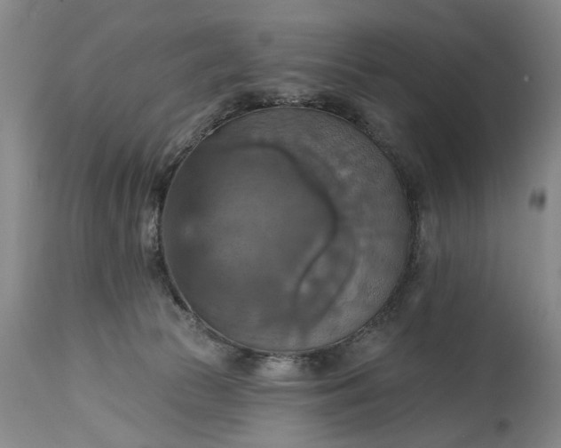 X0000115450177200911181555