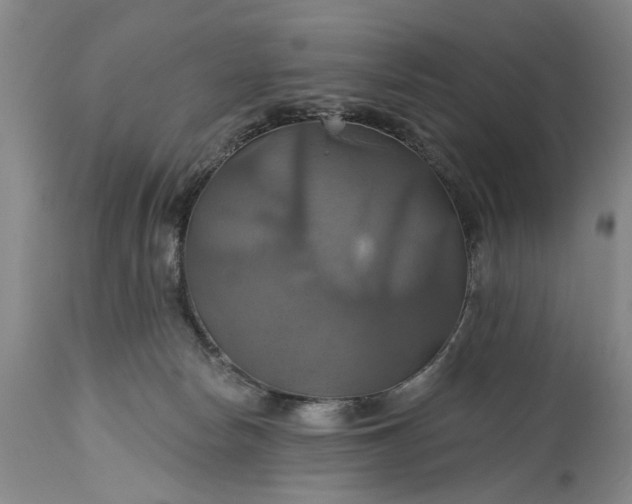 X0000115450178200911181555