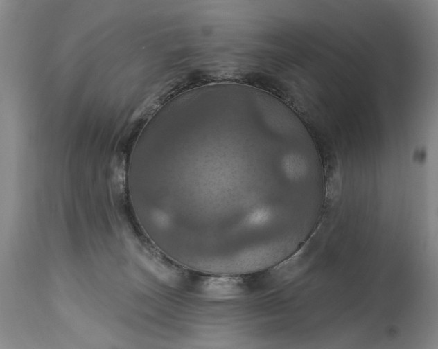 X0000115450179200911181555