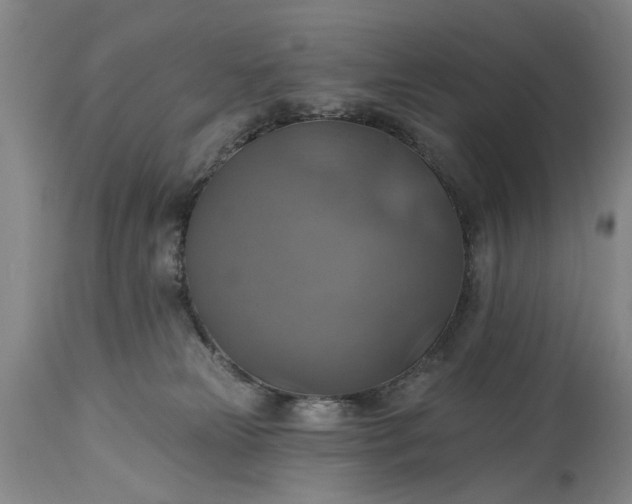 X0000115450181200911181556