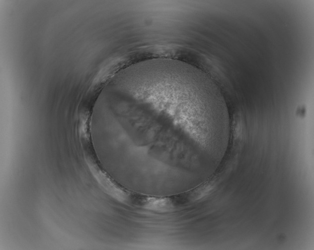 X0000115450185200911181556