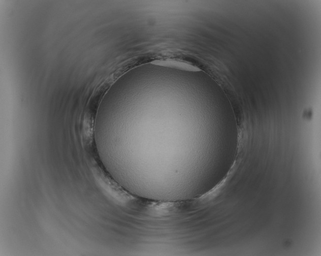 X0000115450186200911181556