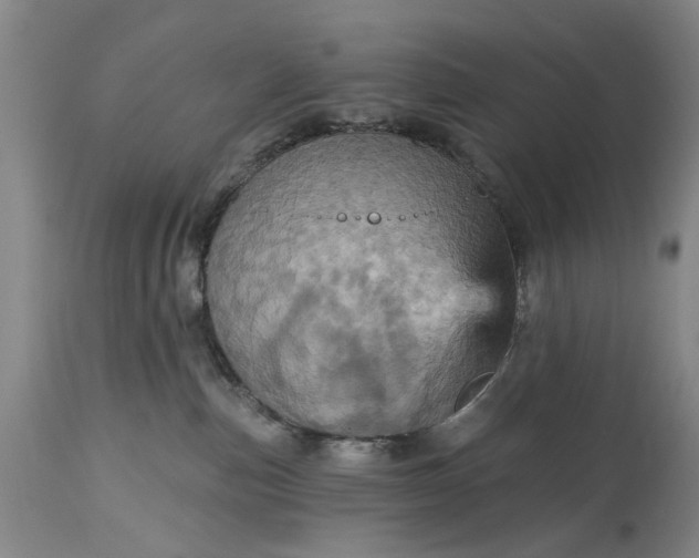 X0000115450187200911181556