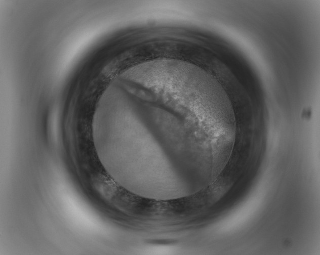 X0000115450189200911181556