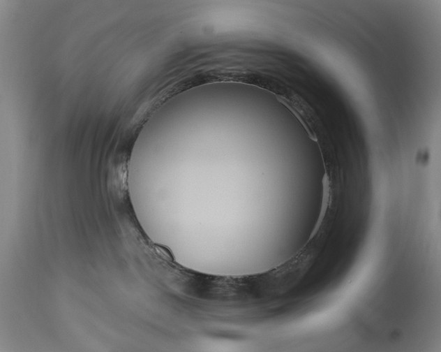 X0000115450190200911181556