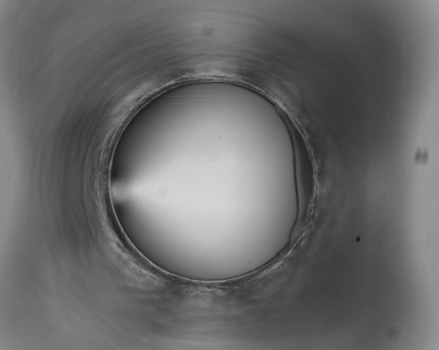 X0000115450193200911181555