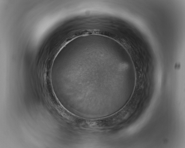 X0000115450194200911181555