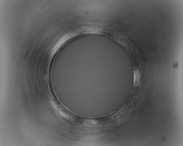 X0000115450195200911181555