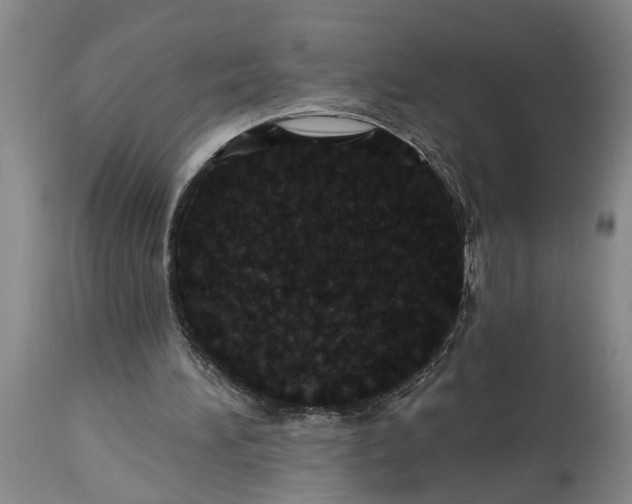 X0000115450196200911181555