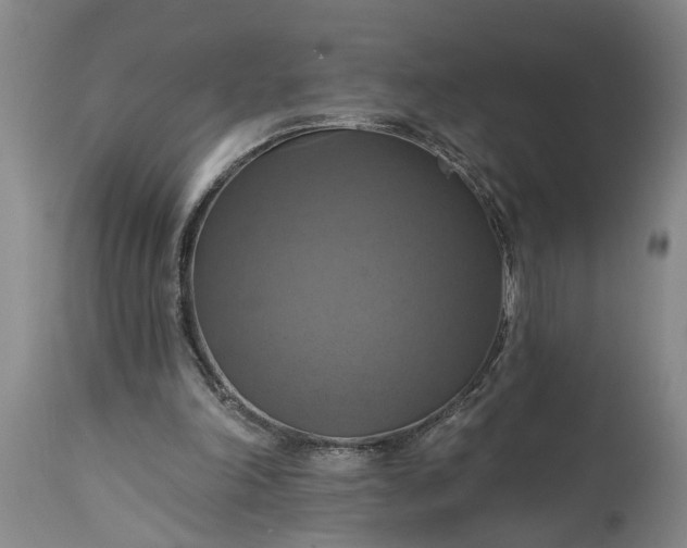 X0000115450198200911181555