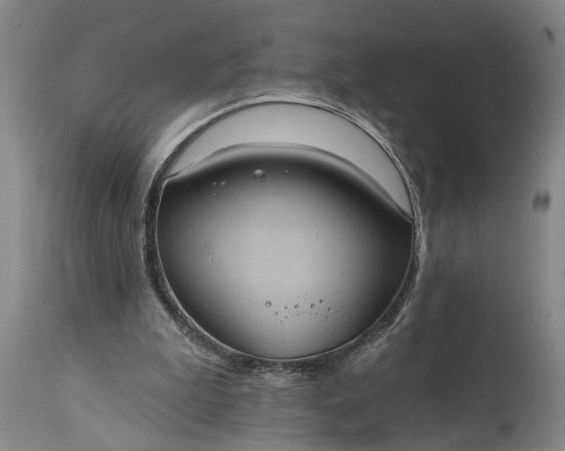 X0000115450199200911181555