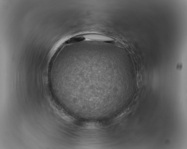 X0000115450200200911181555