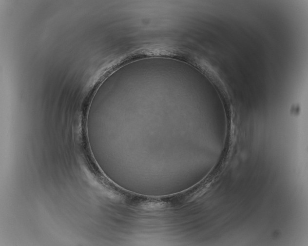 X0000115450202200911181555