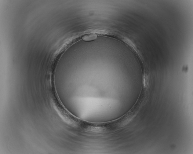 X0000115450205200911181555