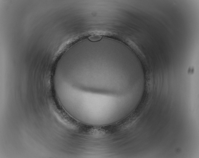 X0000115450207200911181555