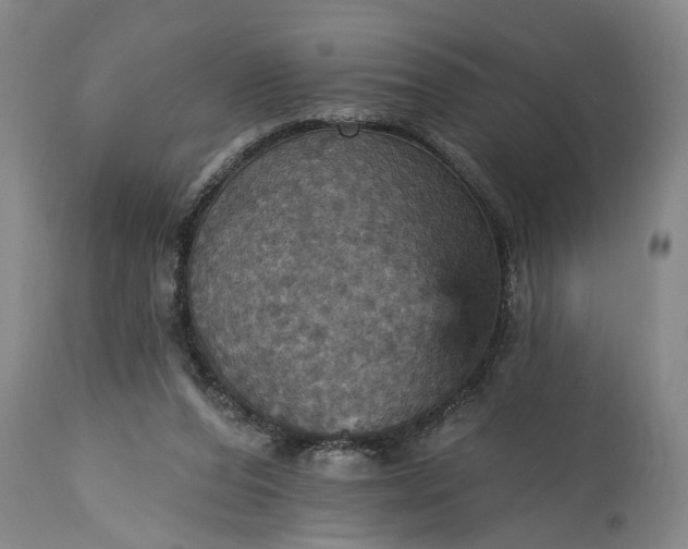 X0000115450208200911181555