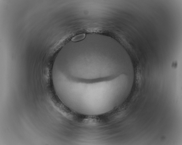 X0000115450211200911181555