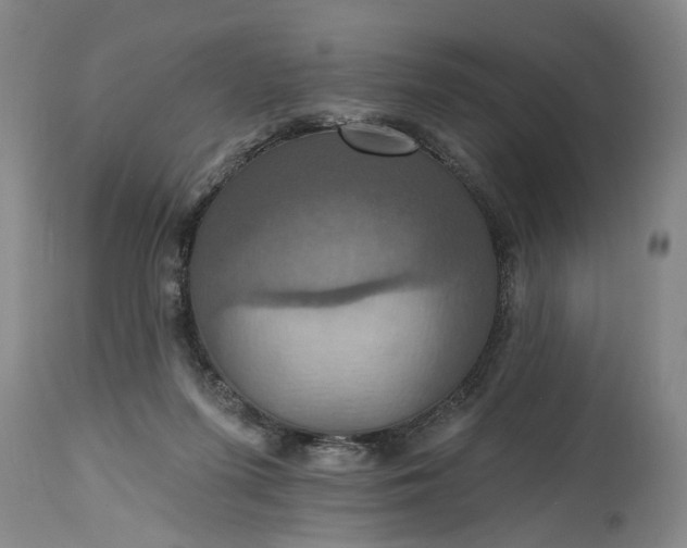 X0000115450215200911181555