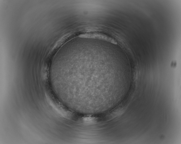 X0000115450216200911181555