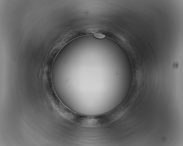 X0000115450217200911181555