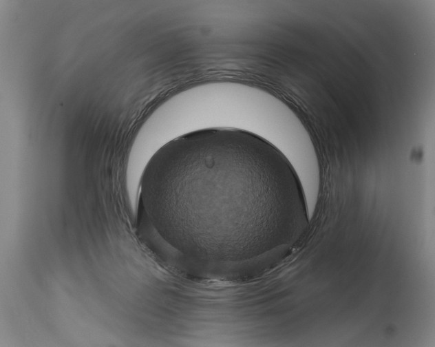 X0000115450219200911181555